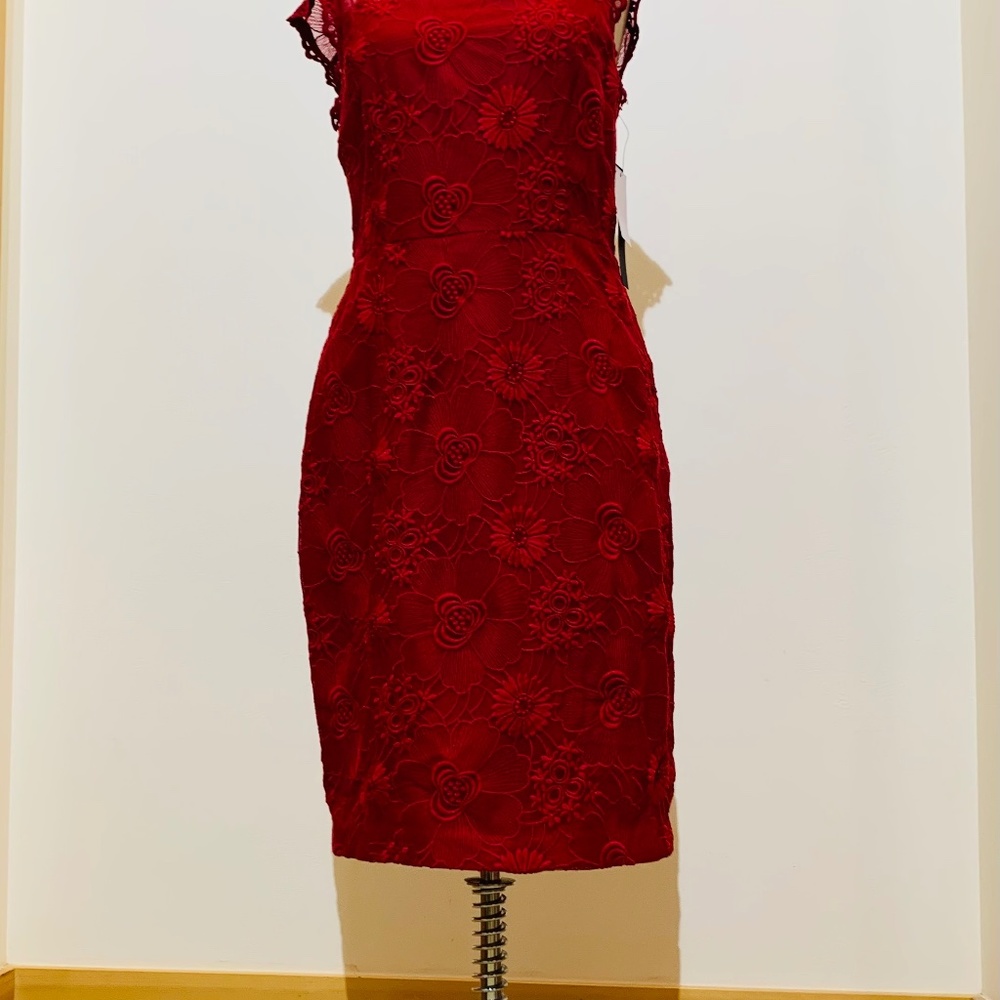 🔥NWT🔥 Cynthia Steffé "Ruby" Dress - Size 6✨✨✨ - Picture 7 of 16